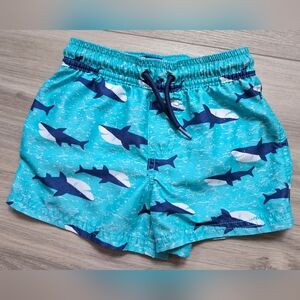 Carters Boys Swim Trunks